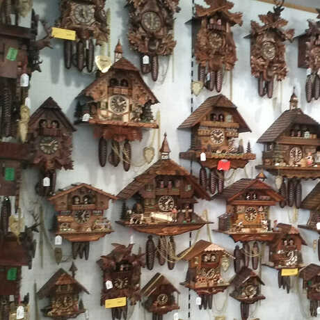 Wall of cuckoo clocks