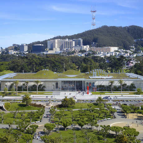 An aerial complete shot of the California Academy of Sciences, featuring views of Golden Gate Park, a rolling hill. 