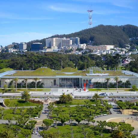 Aerial view of the California Academy of Sciences