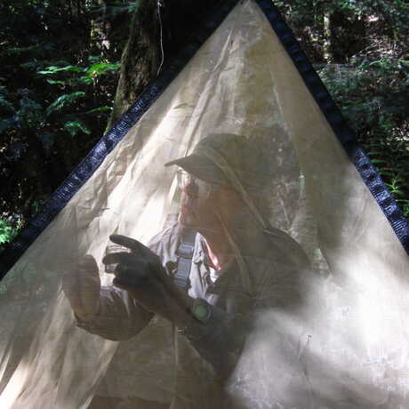 Ecologist Larry Serpa inside an emergence trap near the Garcia River