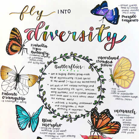 Diversity x Design winning poster by Jessica Li