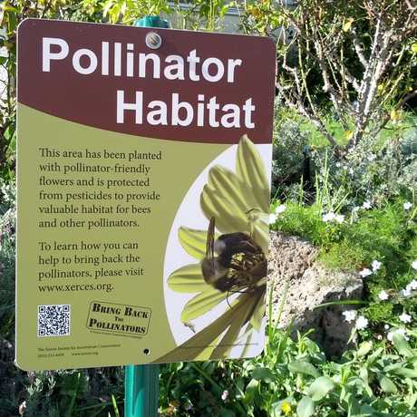 Pollinator Habitat Sign
