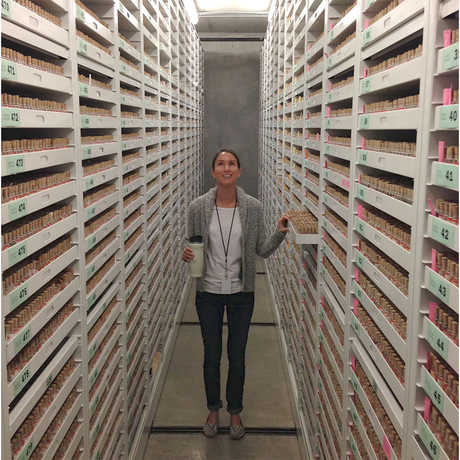 A guest stands between two giant stacks of specimens in our behind the scenes collections.