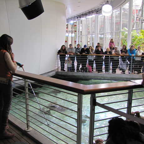 Presenter and biologist over the lagoon exhibit