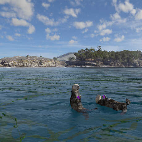 CGI film still from Habitat Earth showing two sea otters on the ocean surface