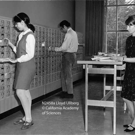 Image of Academy library staff- 1968
