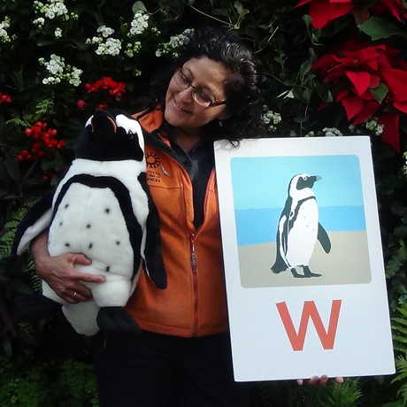 A presenter holding props from "P" is for Penguin