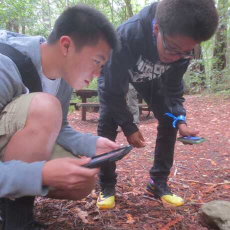 Students explore nature and engage with citizen science during an outdoor bioblitz.