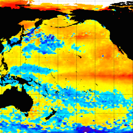 Sea surface temperature anomalies, 9/21/15