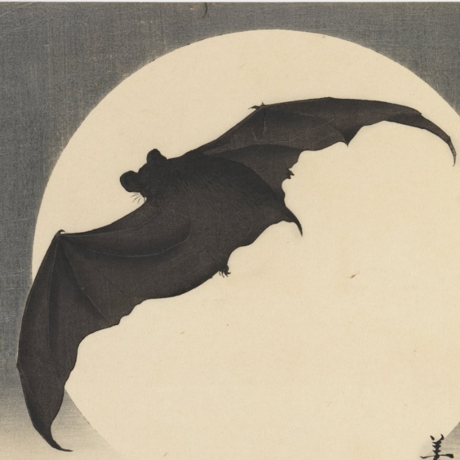Bat Before the Moon, ca. 1910, Biko Takashi, Brooklyn Museum