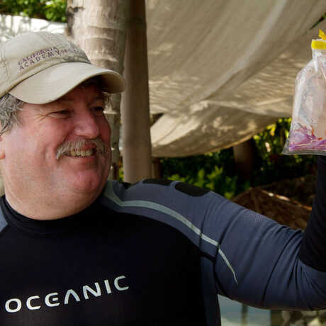 Academy scientist Terry Gosliner holds up a new species of nudibranch
