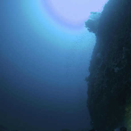 View of the surface while diving 