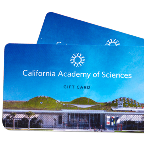 Academy gift cards