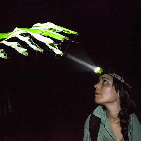Rayna Bell on a night expedition with headlamp