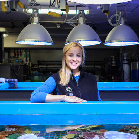 Rebecca Albright in her coral spawning lab at the Academy