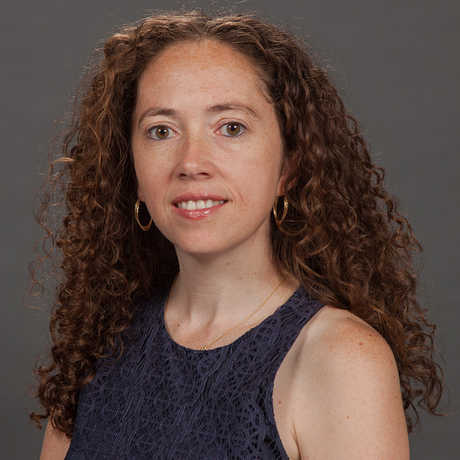 Jackie Faherty's research interests are primarily concerned with the study of brown dwarfs.