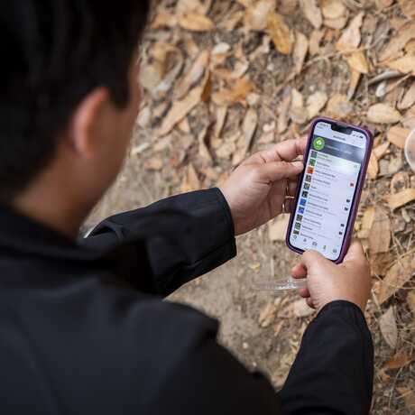 Person using iNaturalist on iPhone