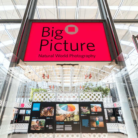 The BigPicture exhibit opens on October 1