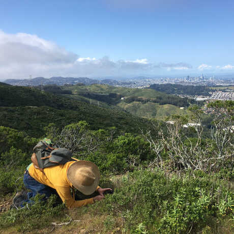 Person looking on the ground in the East Bay hills.