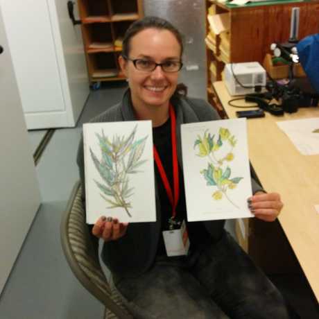 Monika Lea Jones shows off her drawings of herbarium specimens 