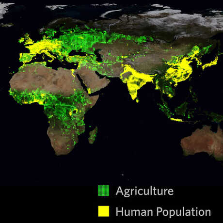 Agriculture and human population