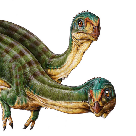 Chileasaurus illustration