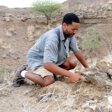 Dr. Zeresenay “Zeray” Alemseged excavating at Dikika