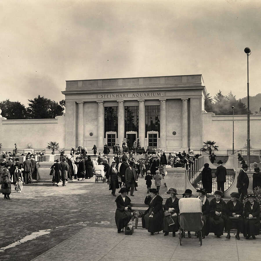 Black and white photo of a scene from opening day at Steinhart Aquarium on September 29, 1923
