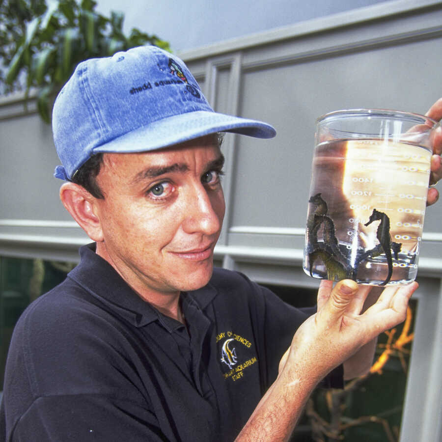 Steinhart biologist Jorge Gomezjurado holds a jar with captive-bred seahorses.