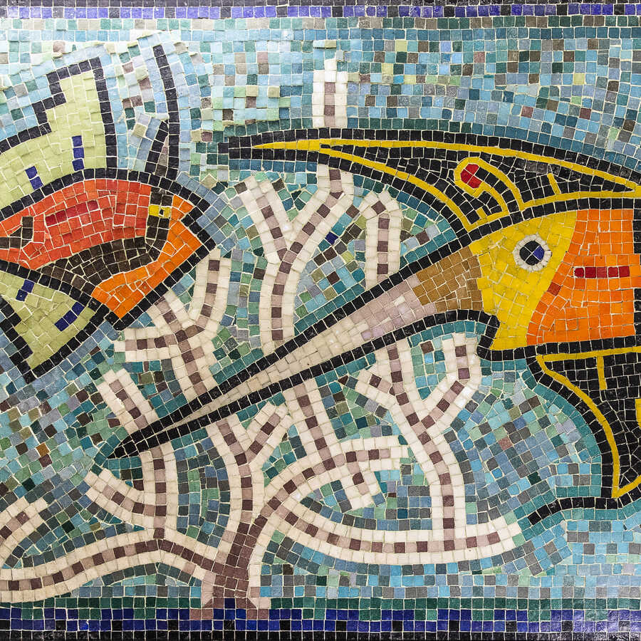 Detail of colorful fish mosaic at Steinhart Aquarium by artist Guillermo Granizo