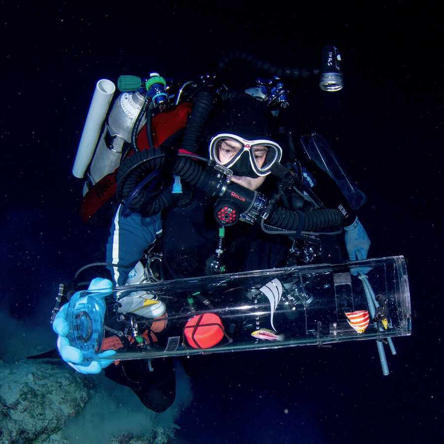 Steinhart director Bart Shephard scuba diving with the subCAS device to bring back live fish from the deep ocean.