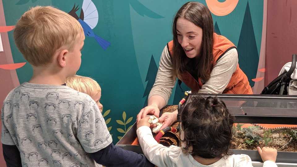 Presenter shows snake skull to young guests