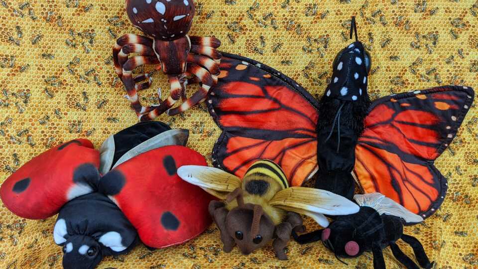 Image of butterfly, ladybug, spider, fly, and bee puppet