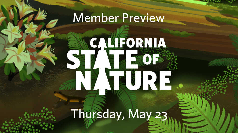 California: State of Nature Member Preview