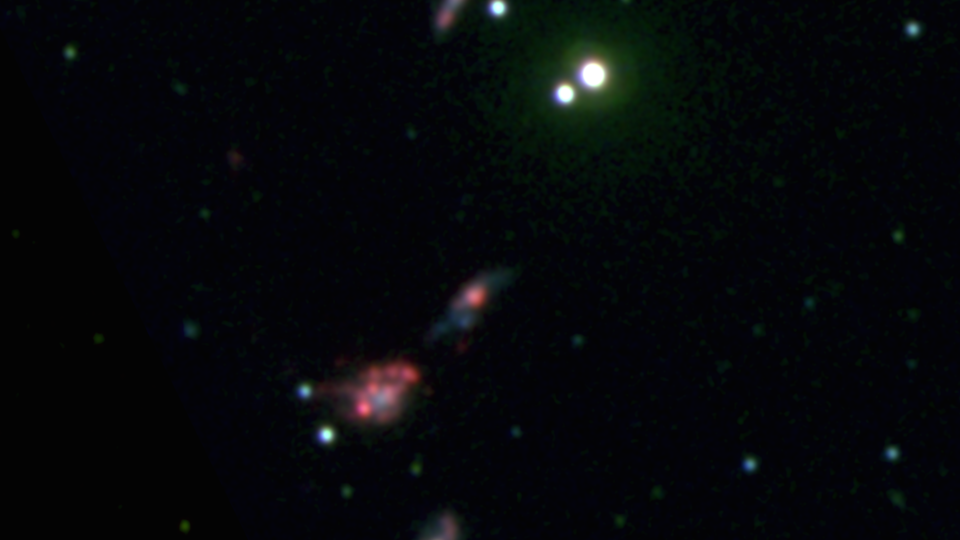 Four of the dwarf galaxies