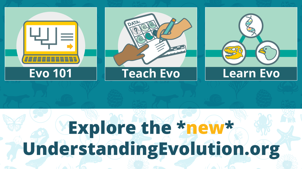 Icons to navigate a website related to teaching evolution