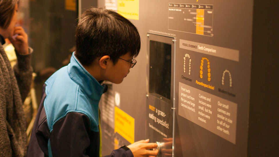 A boy glimpses into the Human Odyssey exhibit