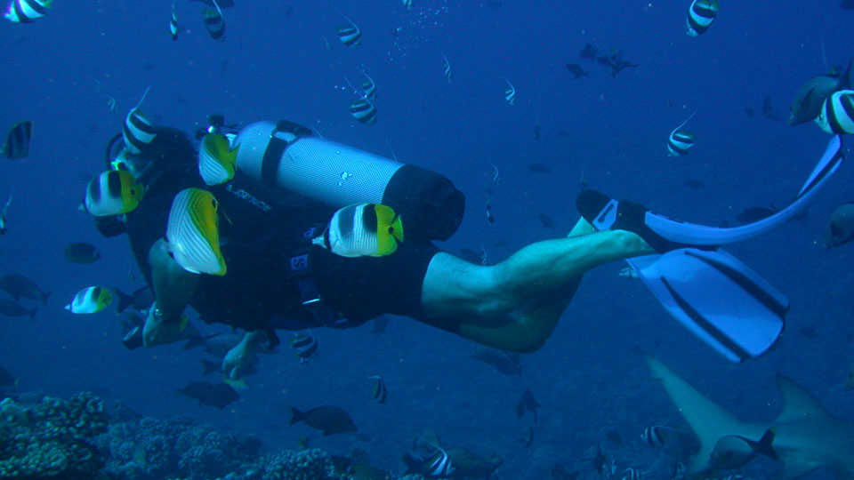 T best Diving Dry Box, Underwater Plastic Transparent Floating