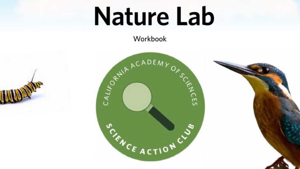 Nature Lab Workbook title page from Science Action Club, with a kingfisher and a caterpillar.