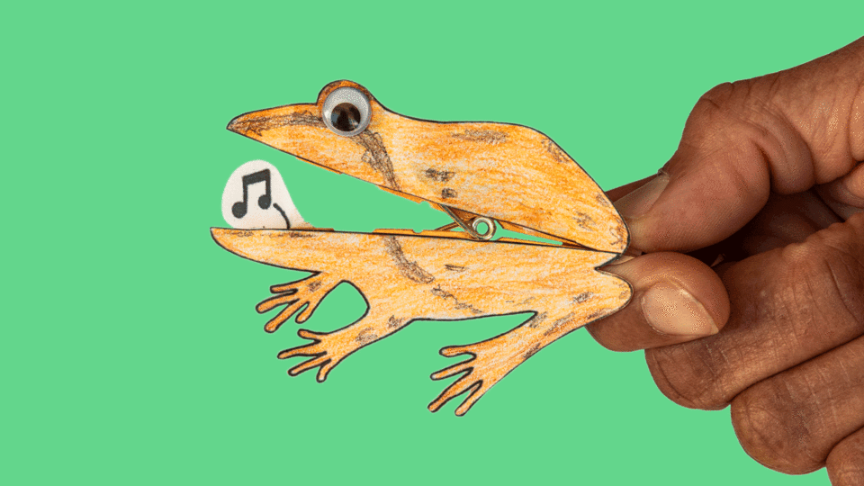 GIF of a handmade frog craft against a green background