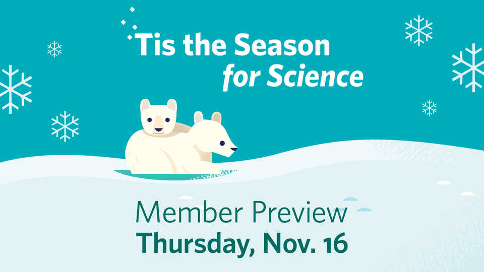 Tis the Season for Science