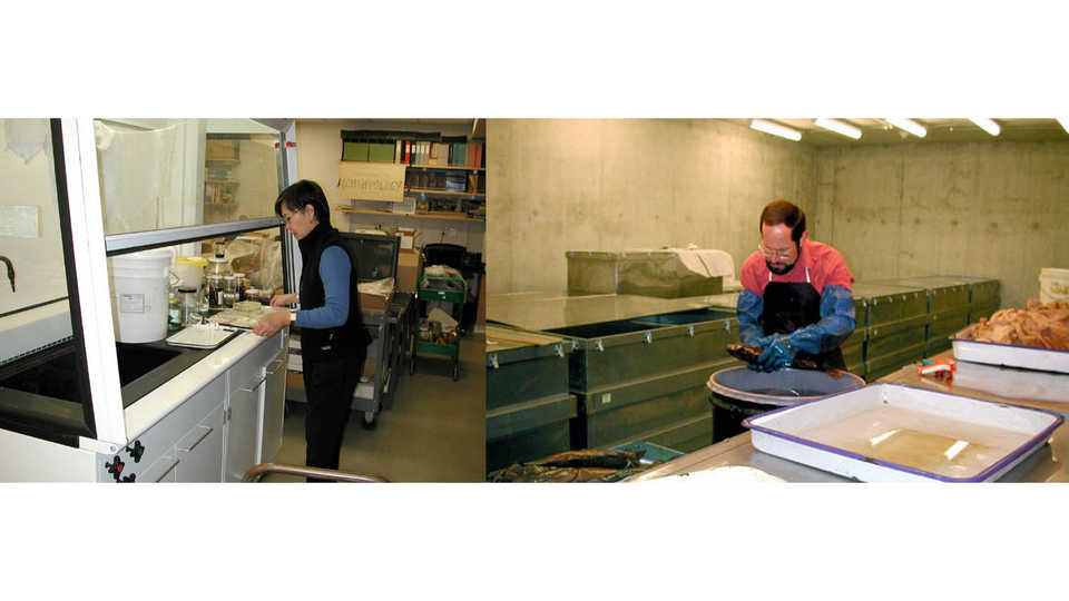 Ichthyology staff working with specimens