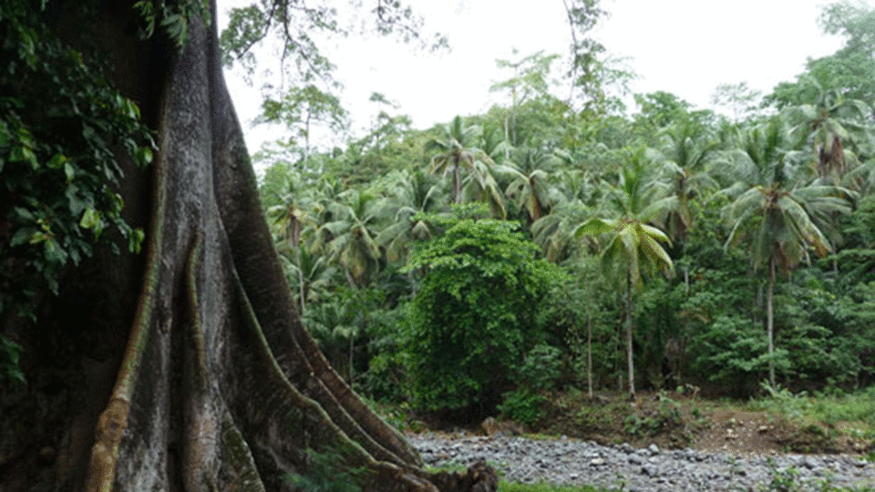 Northwest side of São Tomé