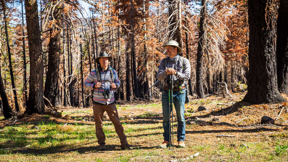 Jack Dumbacher and Durell Kapan during a morning bird count in Caples Creek watershed