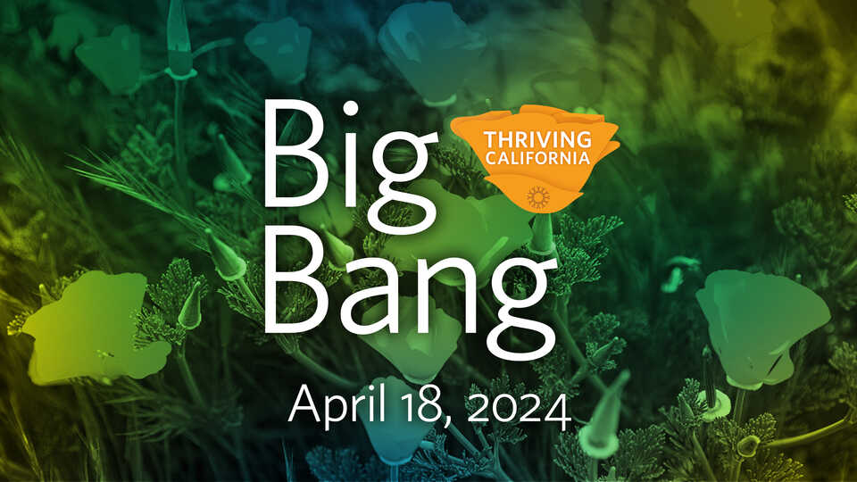 Big Bang | Thriving California | California Academy of Sciences
