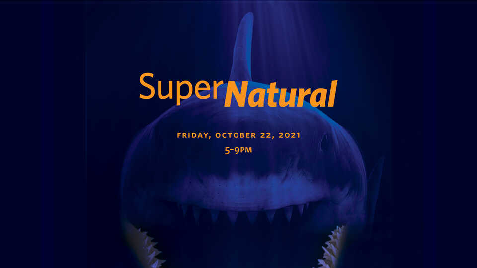 SuperNatural hero image with giant shark 
