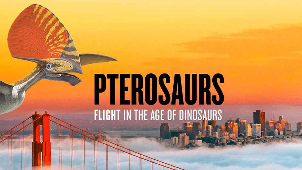 A pterosaur swoops over San Francisco Golden Gate Bridge