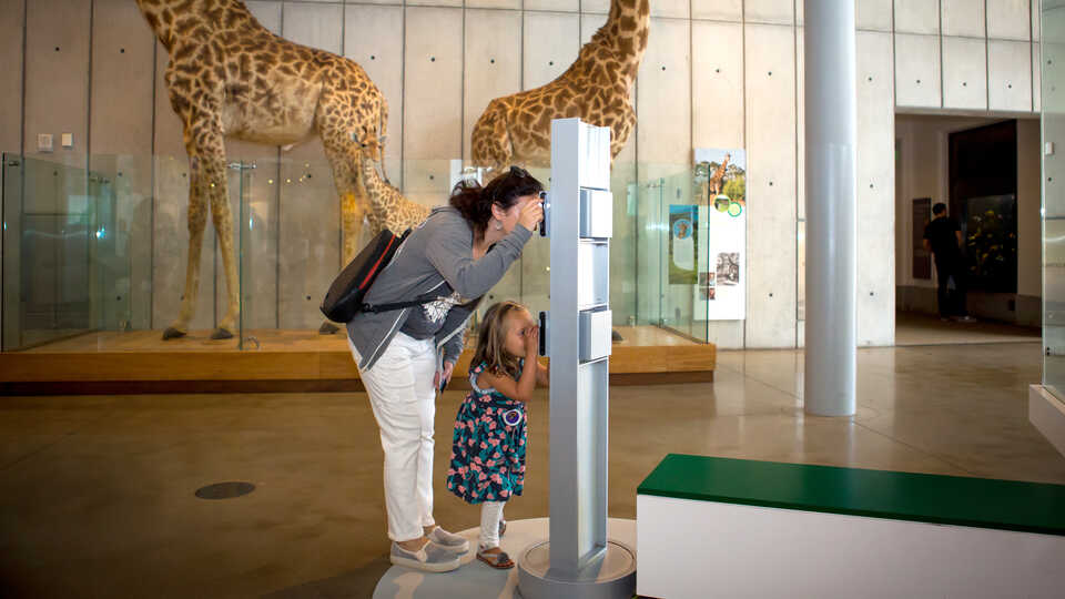 A mother and daughter use an exhibit viewer designed for guests of different heights