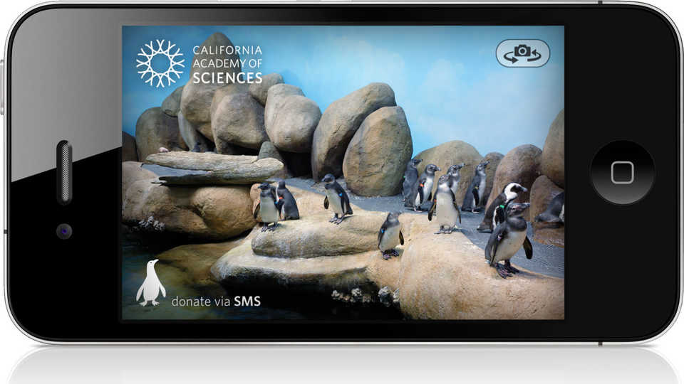 Picture of Pocket Penguins app layout.