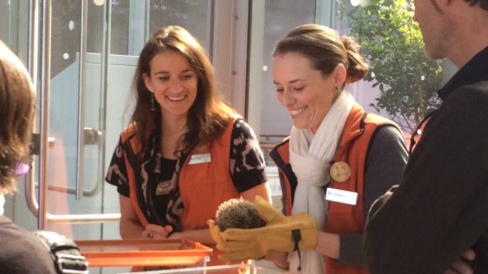 Presenters showing a live animal to guests